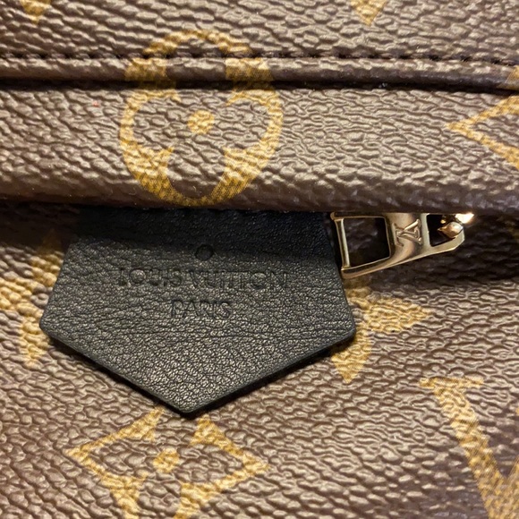 Louis Vuitton Palm Springs Mini (old zipper) - Picture 3 of 13